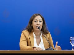 Gobierno convoca a inversores y ahorristas para financiar planta solar de 30 MW en Baygorria