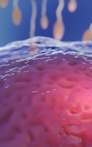 Fertilización in Vitro e Inteligencia Artificial: cómo la tecnología cambiará la forma de tener hijos