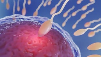 Fertilización in Vitro e Inteligencia Artificial: cómo la tecnología cambiará la forma de tener hijos