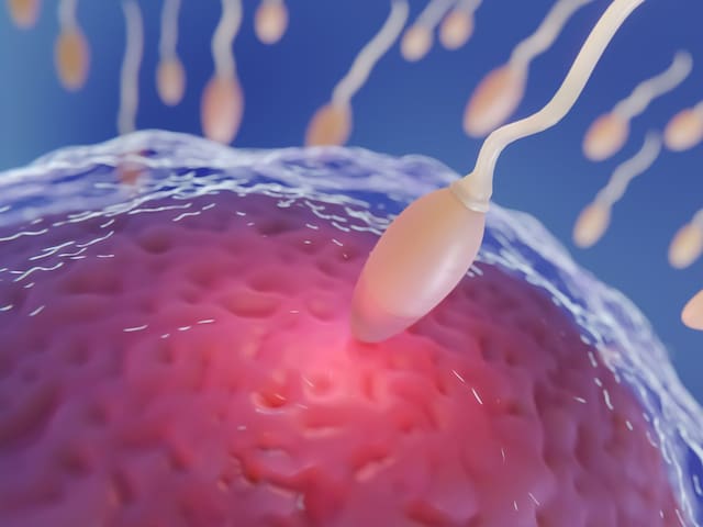 Fertilización in Vitro e Inteligencia Artificial: cómo la tecnología cambiará la forma de tener hijos