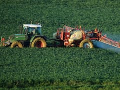 Fertilizantes: el negocio de u$s 4000 millones que Vaca Muerta puede liderar