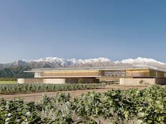 Con una inversión de u$s 14 millones, un hotel porteño desembarca en el Valle de Uco con un proyecto de lujo