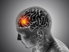 El hallazgo médico que sacude a la ciencia: la zona olvidada del cuerpo que nadie sospecha pero podría estar detrás del Alzheimer