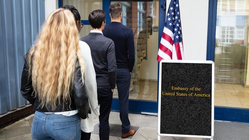 La comunicación remarca que cada proceso tiene plazos definidos y visibles para todos los usuarios registrados.