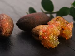 El árbol con uno de los cítricos más caros del mundo: cómo cultivarlo en maceta y cosechar “caviar” desde tu balcón