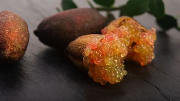 El árbol con uno de los cítricos más caros del mundo: cómo cultivarlo en maceta y cosechar “caviar” desde tu balcón