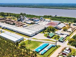 El único productor de un insumo “tapado” de la construcción vendió un campo millonario en un puerto en ascenso