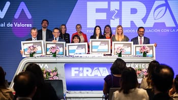 El millonario plan bursátil para romper el doble candado que frena a las mujeres en el campo mexicano