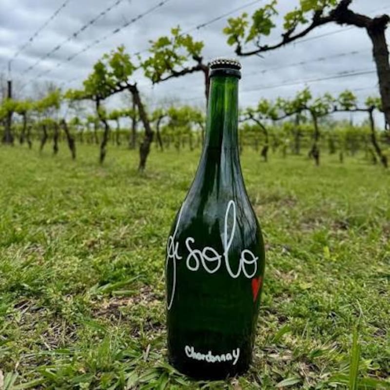 Fisolo