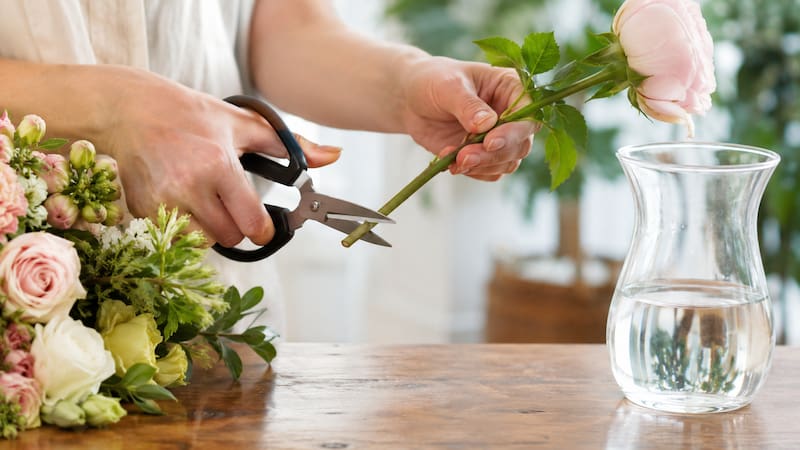 Agregar una pequeña cantidad de vodka al agua puede contribuir a prolongar la apariencia física de un ramo de flores cortadas.