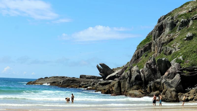 Buscan voluntarios para el verano en Florianópolis: ofrecen alojamiento a 150 metros de la playa a cambio de 26 horas de colaboración.