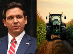 Florida aprueba una nueva ley que cambiará para siempre la industria agrícola desde julio: cómo afecta a las tierras, equipos y licencias de conducir
