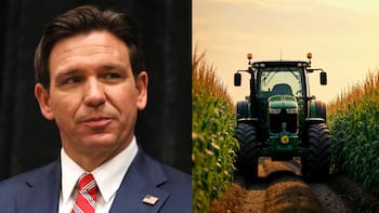 Florida aprueba una nueva ley que cambiará para siempre la industria agrícola desde julio: cómo afecta a las tierras, equipos y licencias de conducir