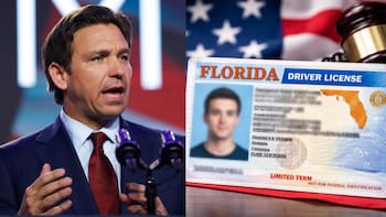 Es oficial | Florida exigirá estatus migratorio en las licencias de conducir y afectará a todos los residentes: desde cuándo y para qué tramites