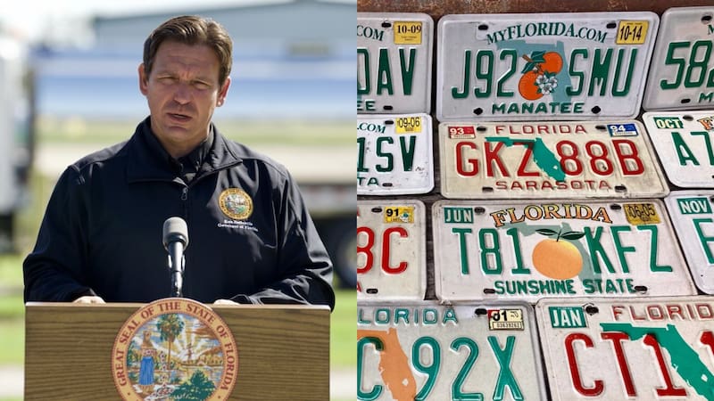 El Florida Department of Highway Safety and Motor Vehicles (FLHSMV) es el organismo encargado de la seguridad vial y de todos los trámites relacionados a vehículos motorizados.