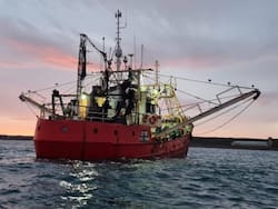 El holding canadiense que opera en minería y real estate ahora escala en una industria exportadora clave