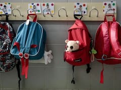 Educadores de todo el país marcharán para pedir una nueva ley estatal: exigen mejoras laborales y salariales