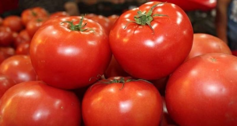 Fotos ilustrativas de tomates frescos.