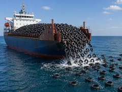 Fracasaron al lanzar dos millones de neumáticos al océano: más de 50 años después aún lidiamos con las consecuencias