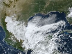 Alerta climática en la ciudad y otras partes del país: llega un viento frío histórico para el fin de semana y habrá temperaturas invernales