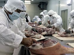 Se frustró el salvataje y el frigorífico del creador de Paty avanza hacia el concurso preventivo