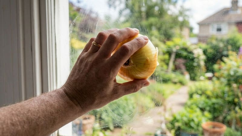 Frotar una cebolla por la ventana, para qué sirve y por qué recomiendan hacerlo
Fuente: IA