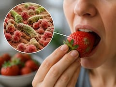 Alerta sanitaria: un parásito oculto en frutas y verduras ya enfermó a cientos de personas y crece la preocupación