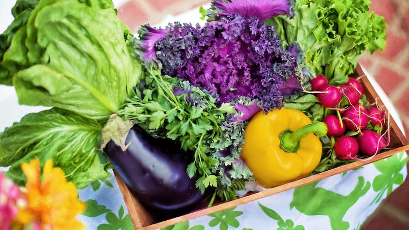 Descuentos en frutas y verduras