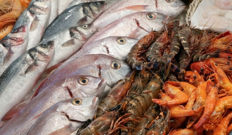 Beneficos de los pescados.