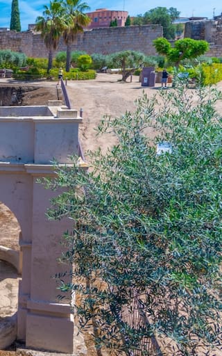 Descubrimiento del siglo: cambia la historia de la humanidad tras el hallazgo de la fuente del agua de la vida