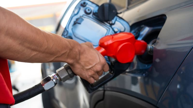 Fuente: Shutterstock