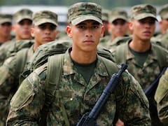 Es oficial: el Senado analiza enviar tropas a Estados Unidos y crece la tensión por el despliegue militar fuera del país