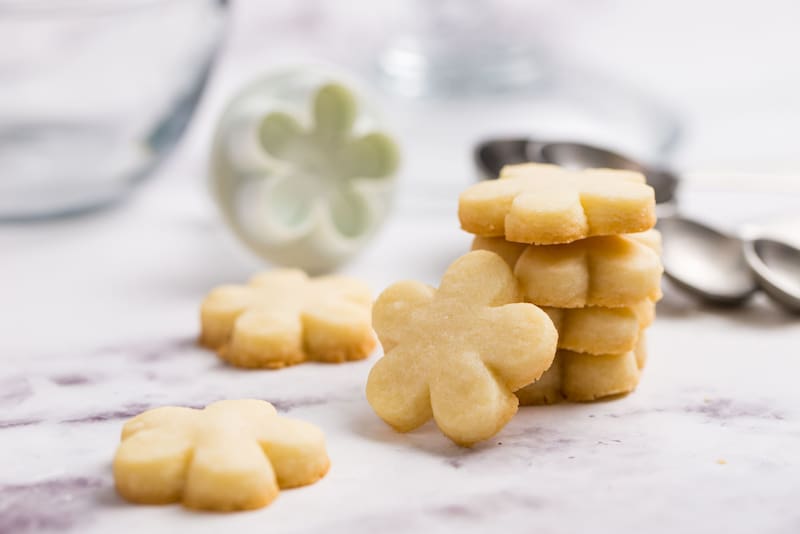 Imagen: Shutterstock.