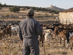 Gonzalo Martínez, ganadero con 1500 cabras: “Puedo vivir de mi actividad. Eso sí, trabajo unas 80 horas a la semana”