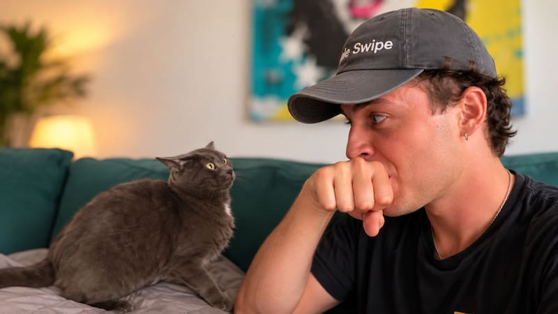 ¿Tu gato te muerde? El sencillo truco para lograr que deje de hacerlo sin retarlo.