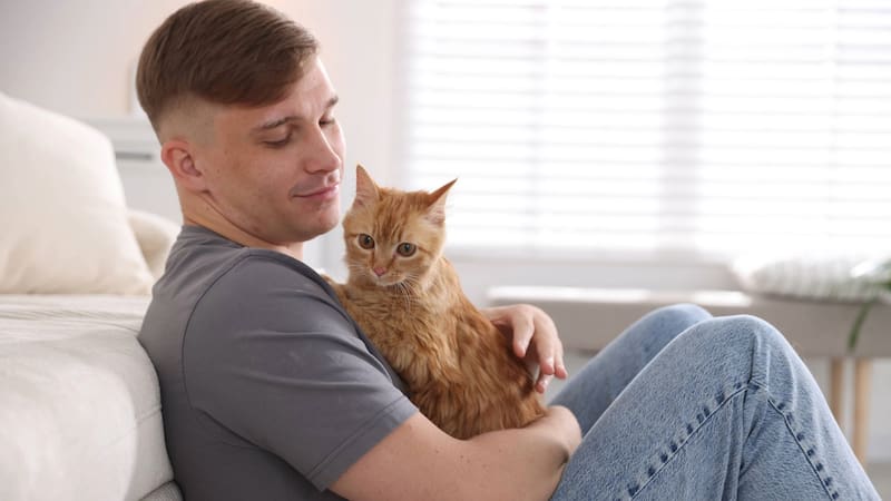 Al analizar por qué los gatos maúllan más a unas personas que a otras, descubrieron que el género del cuidador tiene mucho que ver. Foto: Shutterstock.