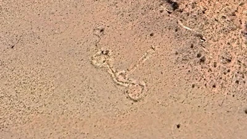 Misterio en la cordillera de Mendoza: un grupo de investigadores argentinos y españoles creen haber hallado un geoglifo que se ve desde el cielo.