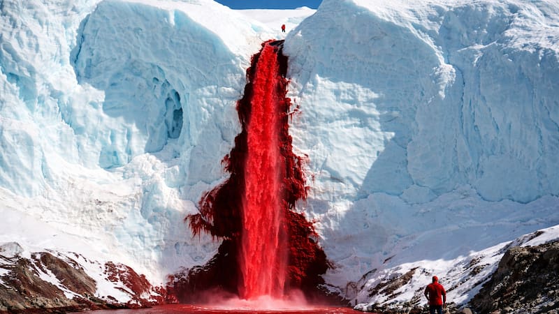 Bajo casi 400 metros de hielo se esconde un lago salino aislado durante millones de años, hogar de microorganismos que sobreviven sin luz ni oxígeno.