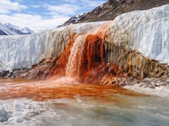 Se reescribe la historia para siempre: hallan “cataratas de sangre” en la Antártida que esconden un tesoro a 400 metros bajo el hielo