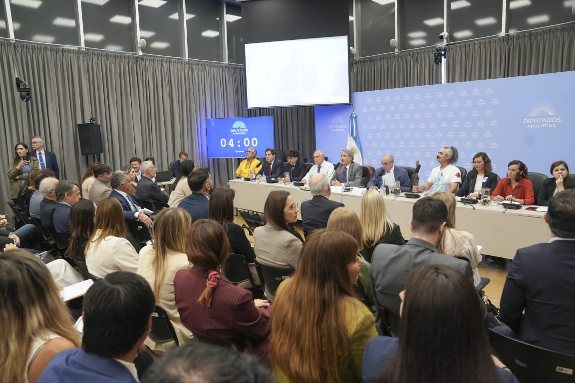 Arrancó la batalla por la Ley de Glaciares: audiencias, presión minera y posible judicialización