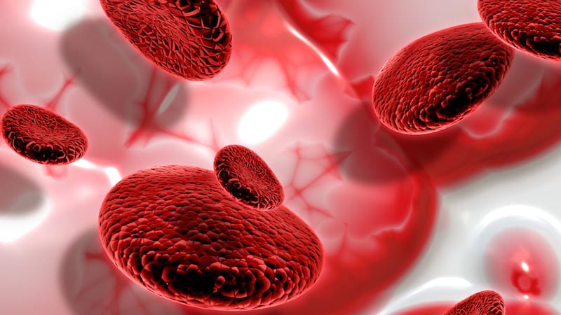 Globulos rojos.