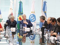 Reunión suspendida: por qué los gobernadores desactivaron el diálogo en el CFI