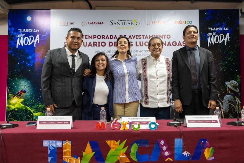 Las fechas claves para ver las luciérnadas iluminar la noche.