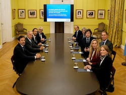 Caputo se reunió con Marcelo Mindlin y aprobó dos RIGI