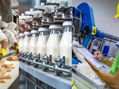Entre la venta, el concurso y el cierre: qué puede pasar con tres grandes empresas al borde de la quiebra