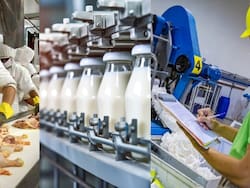 Entre la venta, el concurso y el cierre: qué puede pasar con tres grandes empresas al borde de la quiebra