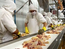 La mayor productora avícola del país cierra su planta en Entre Ríos y se deteriora su situación financiera