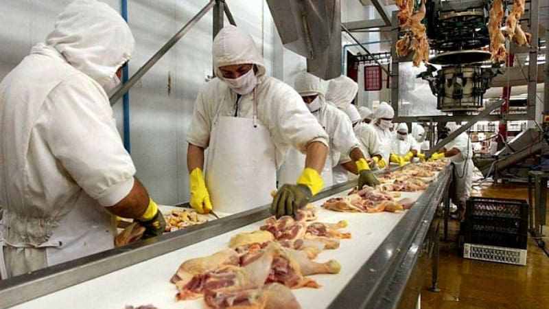 Granja Tres Arroyos profundiza su crisis. (Foto: Federación de la Carne)