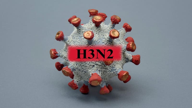 Los síntomas de esta gripe son similares a los de cualquier síndrome gripal: fiebre, malestar general, tos y dolores musculares.