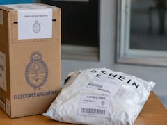 ¿A quién votan los que compran en Shein? Lo que reveló una encuesta